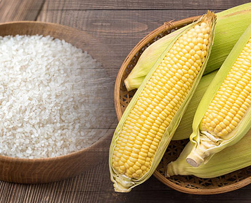 Corn / Maize