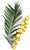 Dates